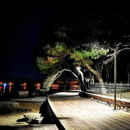 公寓 Ivisic 沃迪切