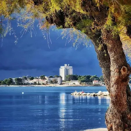 Ivisic 公寓 沃迪切