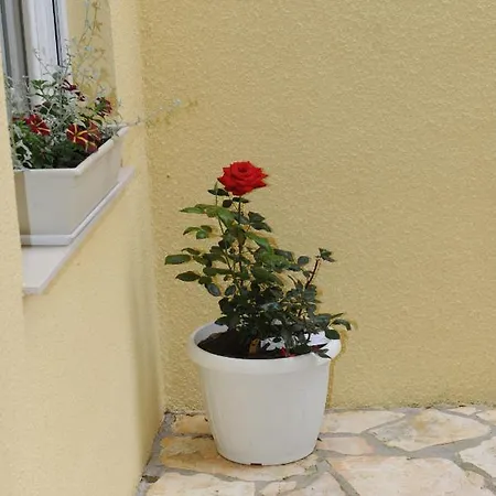 Ivisic Apartman Vodice