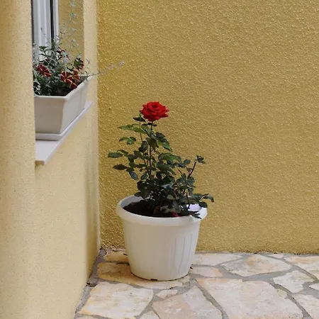 Apartment Ivisic