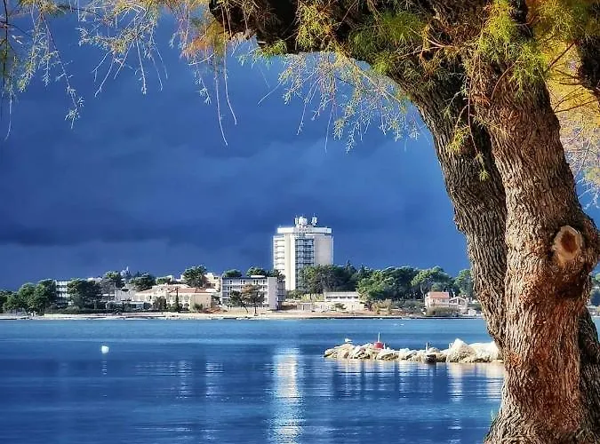 Ivisic شقة فوديس